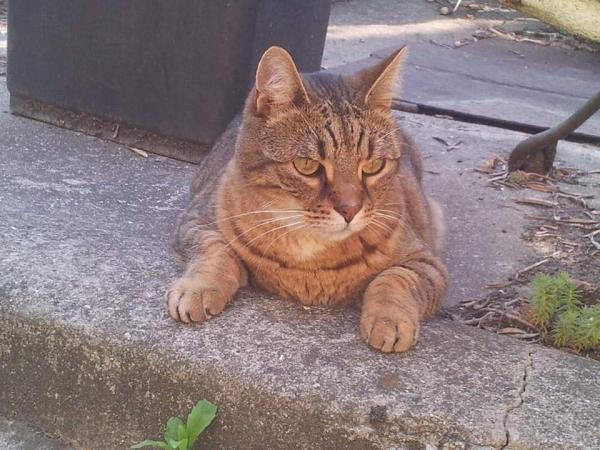Photo de socrate