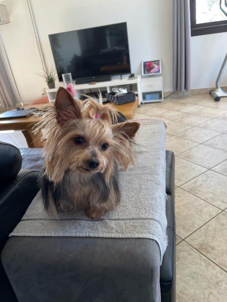 Lola