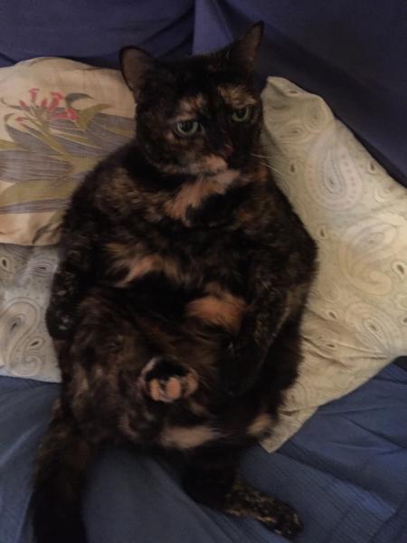 Photo de Lola
