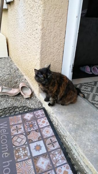 Nikita