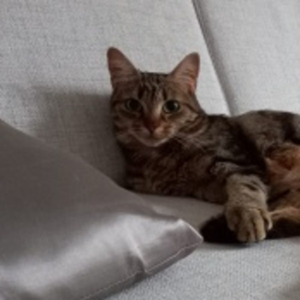 Photo de Mikka