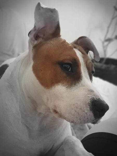 Roxy