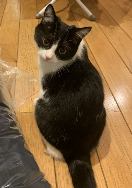 PIXEL