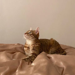 Photo de Chloé