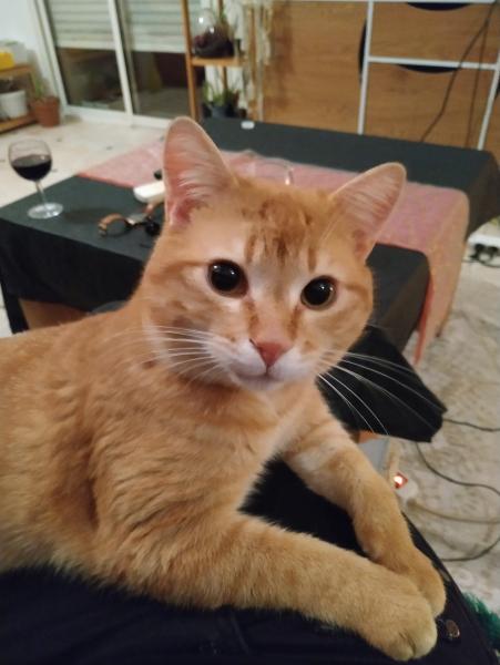 Remi