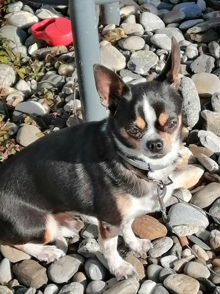 Photo de Jedi