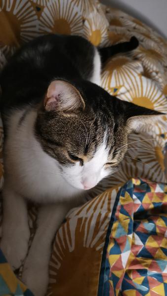 Photo de Poivre