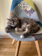 Photo de flanelle