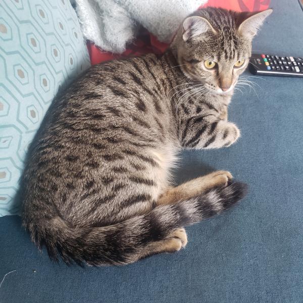 Touky