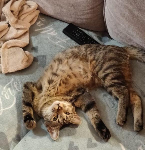Photo de Lola
