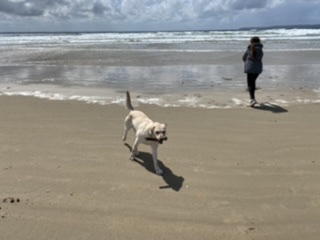 Mya