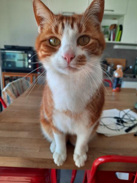 Caramel