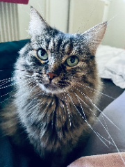 Photo de Mia