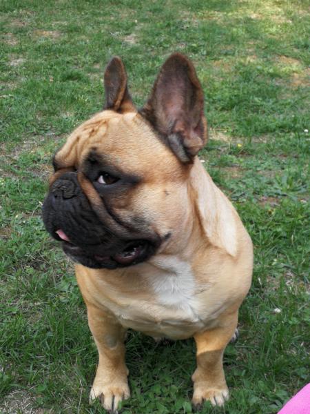Photo de Oscar