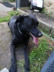 Photo de PAKO