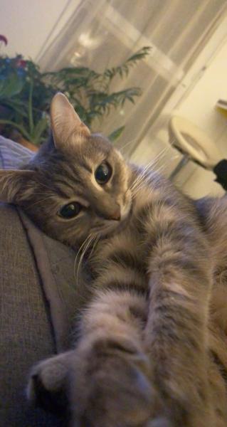 Photo de Mimi