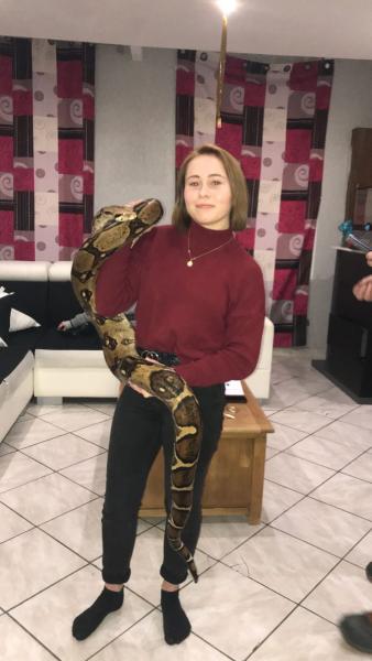 Zig