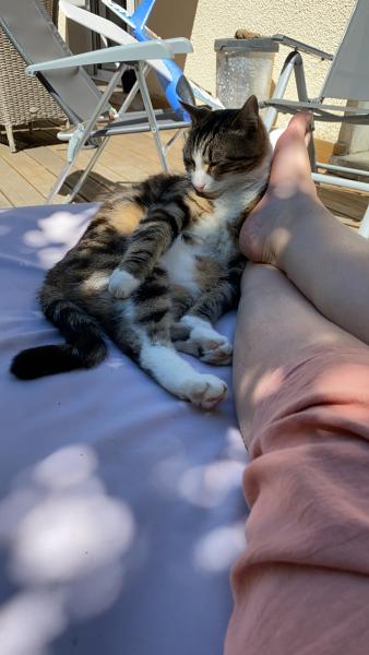 Photo de Poivre