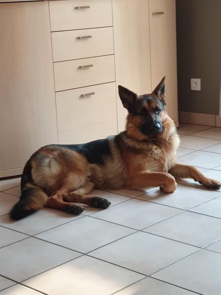 Photo de RAMSES