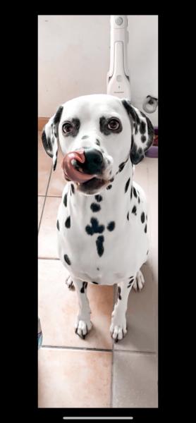 Maïko