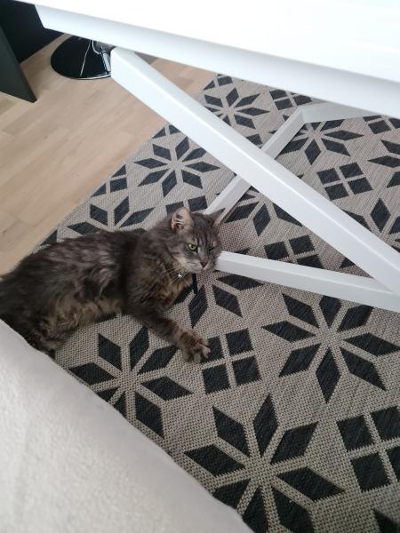 Lulu