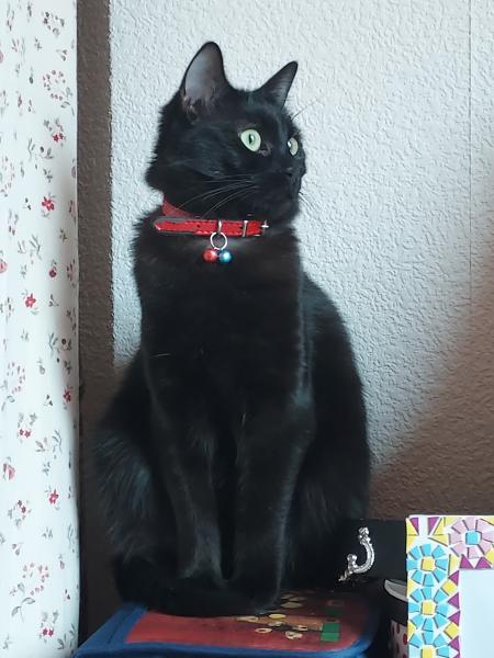 Ruby