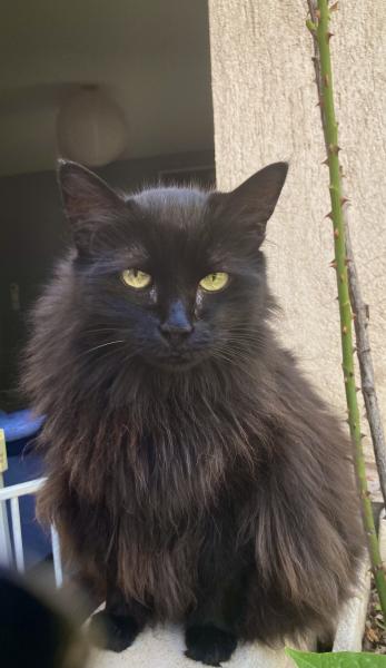 Luna