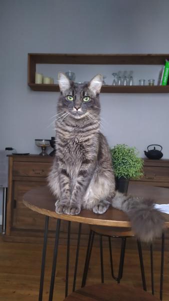 Pixel