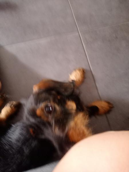 Photo de Roxy