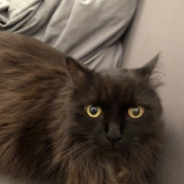 Berlioz