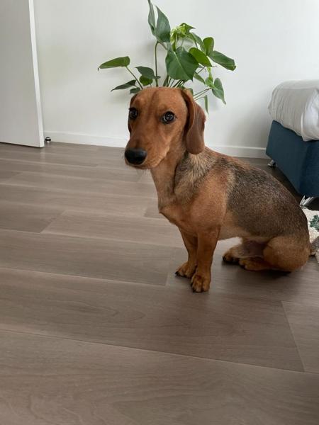 Photo de Rio