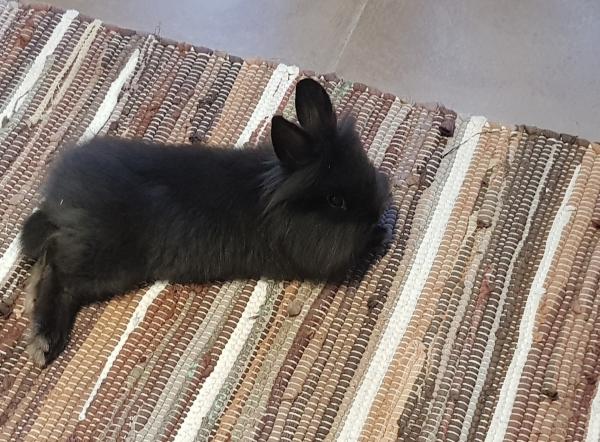 Photo de Yuki