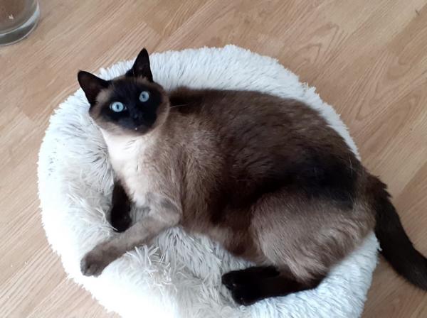 Photo de Nutty