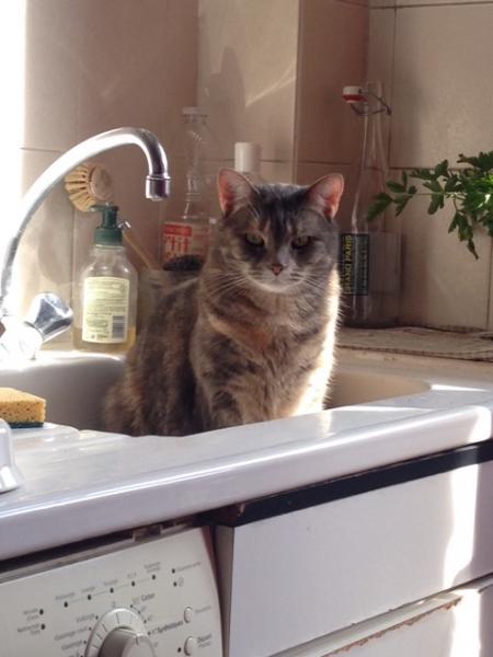 Photo de Melba
