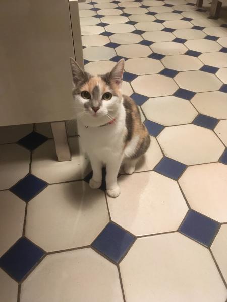 Photo de Praline