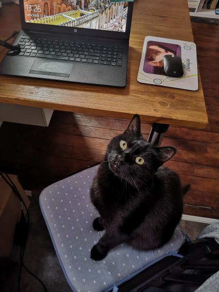 Salem