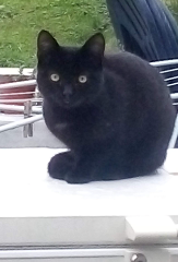 Salem