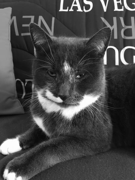 Photo de Lucky