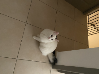 Photo de Oscar