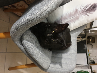 Berlioz
