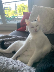 Lilou