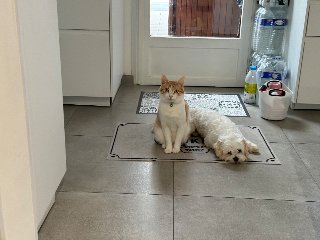 Photo de Twinky