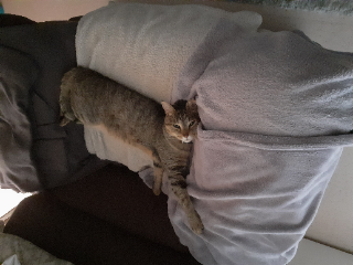 Malo