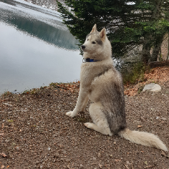 Photo de Blue