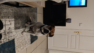 Zoe