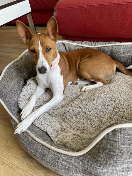 Photo de Polka
