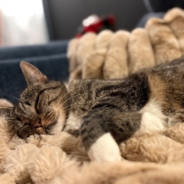 Lili