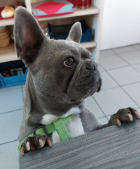 Photo de PAULETTE