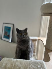 Photo de Socrate