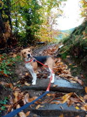 Photo de Salsa